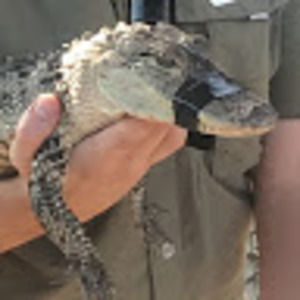 Meet your Posher, Syd